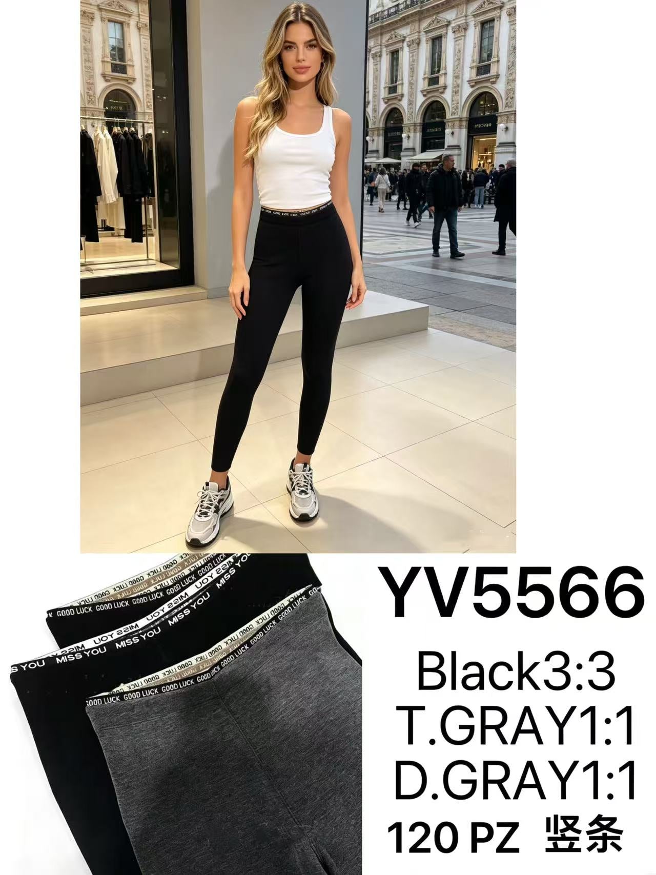 Yv5566