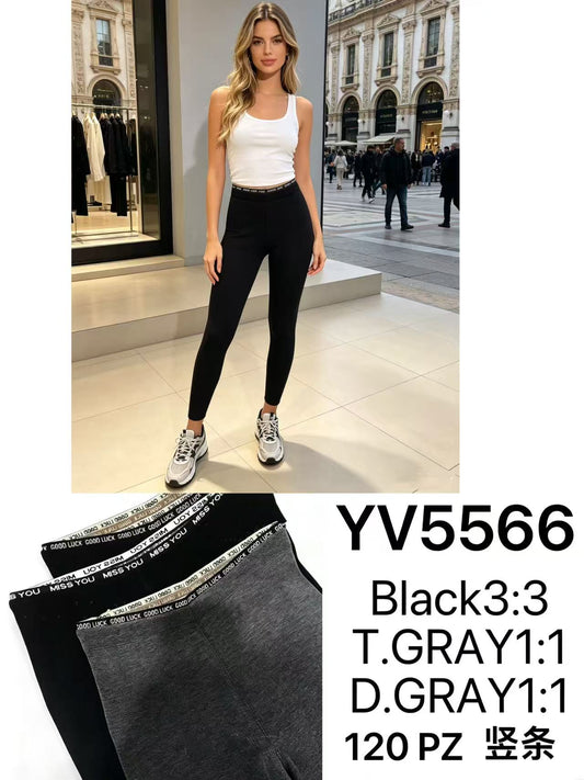 Yv5566