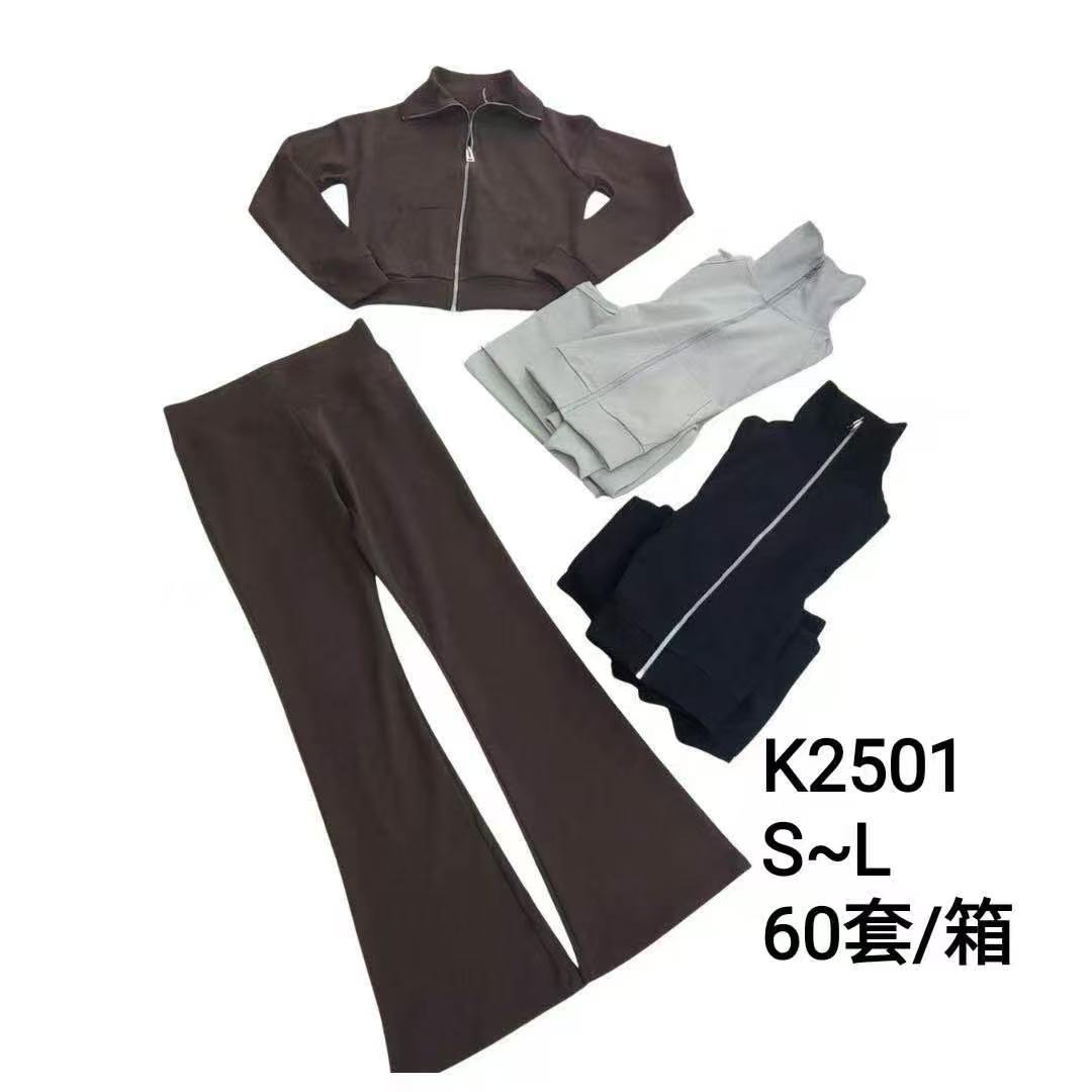 K2501